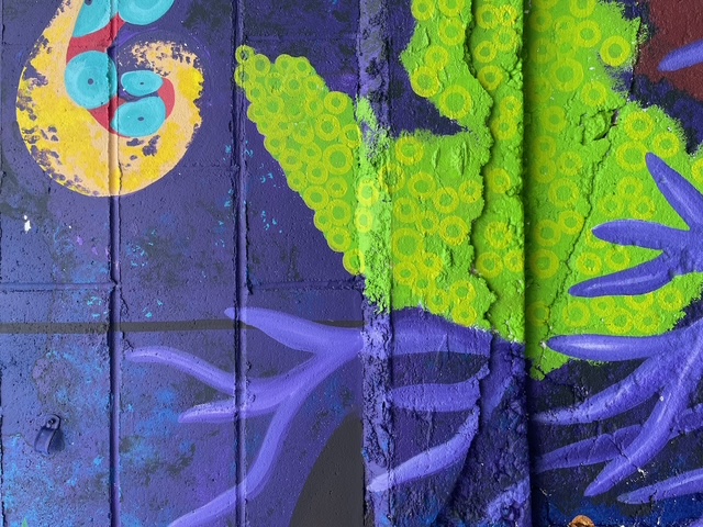 Murray the octopus mural, view 20.